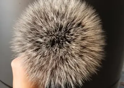 Wildbart