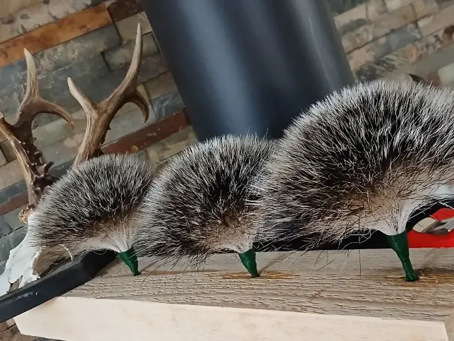 Wildbartgallerie
